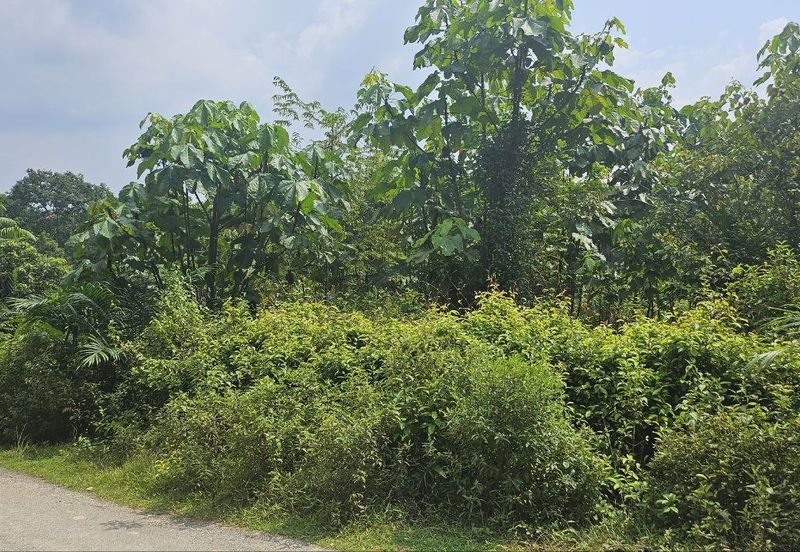 Tanah Pertaniah untuk Dijual 📍 Lubok Cina, Mukim Rembau/ Sempadan Melaka