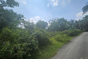 Tanah Pertaniah untuk Dijual 📍 Lubok Cina, Mukim Rembau/ Sempadan Melaka