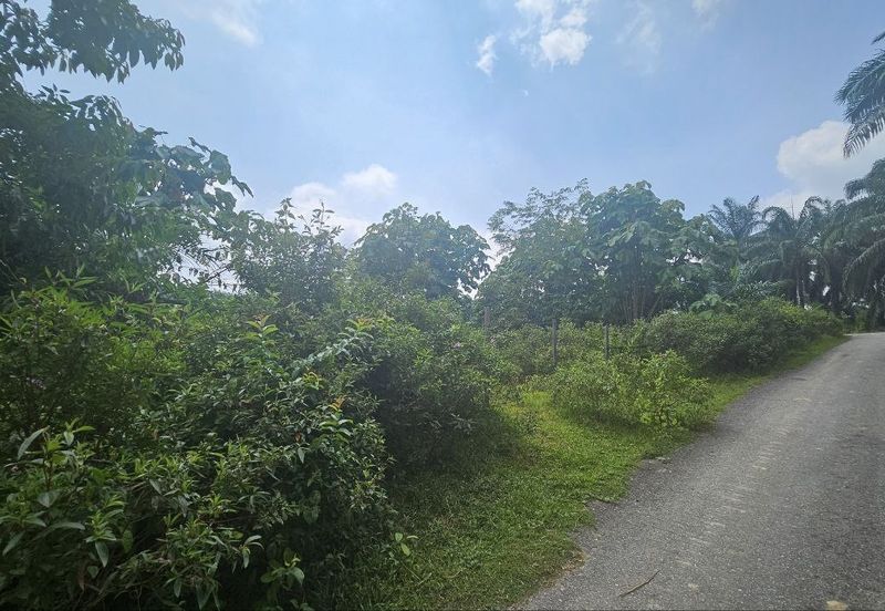 Tanah Pertaniah untuk Dijual 📍 Lubok Cina, Mukim Rembau/ Sempadan Melaka