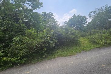 Tanah Pertaniah untuk Dijual 📍 Lubok Cina, Mukim Rembau/ Sempadan Melaka