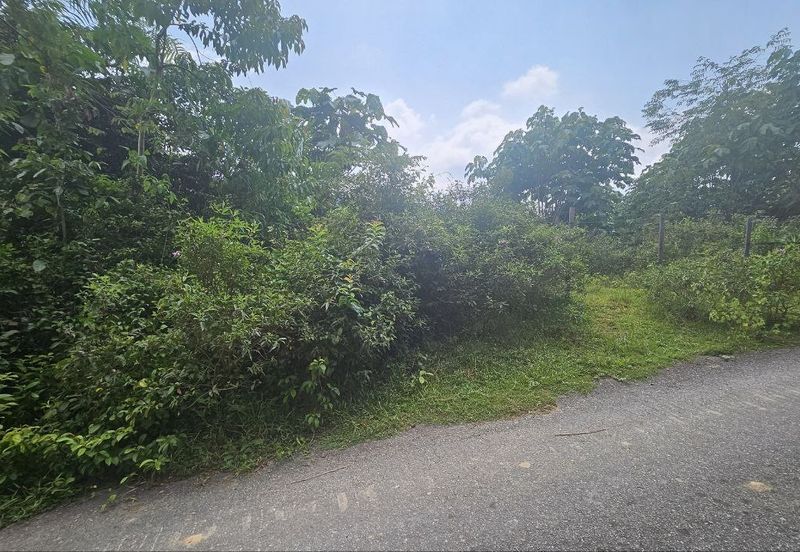 Tanah Pertaniah untuk Dijual 📍 Lubok Cina, Mukim Rembau/ Sempadan Melaka