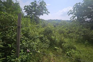 Tanah Pertaniah untuk Dijual 📍 Lubok Cina, Mukim Rembau/ Sempadan Melaka