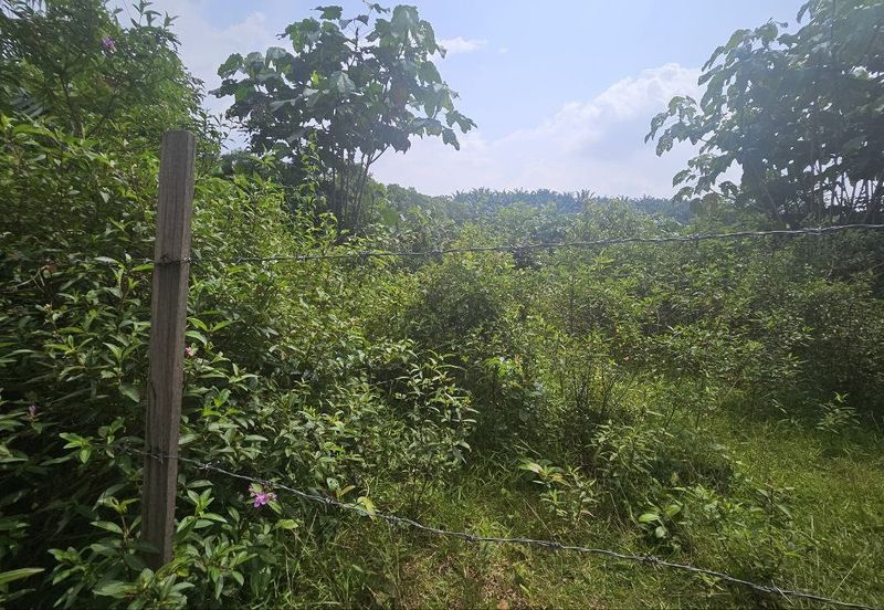 Tanah Pertaniah untuk Dijual 📍 Lubok Cina, Mukim Rembau/ Sempadan Melaka