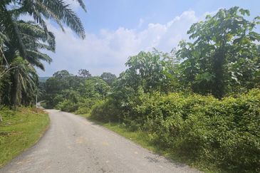 Tanah Pertaniah untuk Dijual 📍 Lubok Cina, Mukim Rembau/ Sempadan Melaka