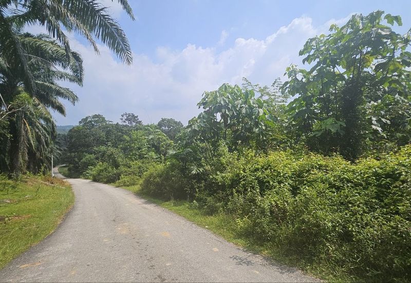 Tanah Pertaniah untuk Dijual 📍 Lubok Cina, Mukim Rembau/ Sempadan Melaka