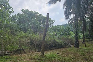 Tanah Pertaniah untuk Dijual 📍 Lubok Cina, Mukim Rembau/ Sempadan Melaka