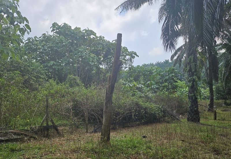 Tanah Pertaniah untuk Dijual 📍 Lubok Cina, Mukim Rembau/ Sempadan Melaka
