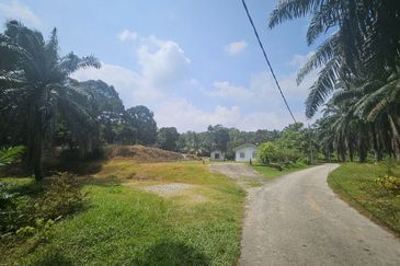 Tanah Pertaniah untuk Dijual 📍 Lubok Cina, Mukim Rembau/ Sempadan Melaka