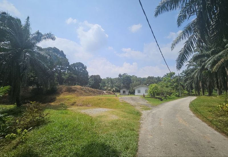 Tanah Pertaniah untuk Dijual 📍 Lubok Cina, Mukim Rembau/ Sempadan Melaka