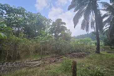 Tanah Pertaniah untuk Dijual 📍 Lubok Cina, Mukim Rembau/ Sempadan Melaka