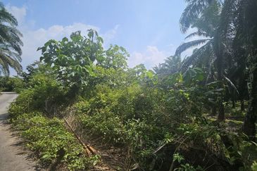 Tanah Pertaniah untuk Dijual 📍 Lubok Cina, Mukim Rembau/ Sempadan Melaka