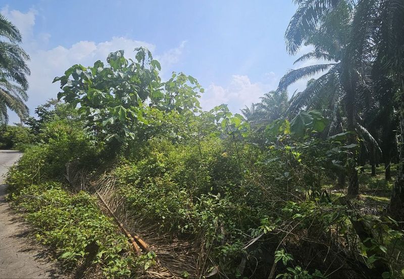 Tanah Pertaniah untuk Dijual 📍 Lubok Cina, Mukim Rembau/ Sempadan Melaka