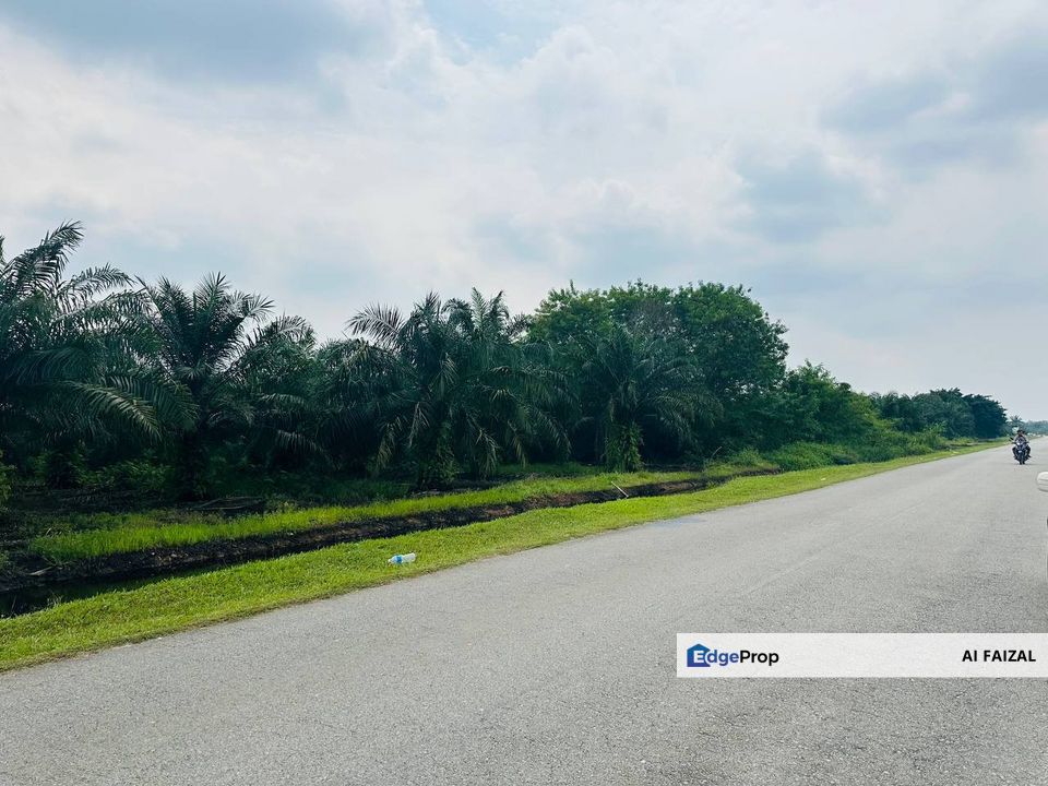Reduced Price Tanah Kelapa Sawit Exit Highway SKVE, Selangor, Kuala Langat