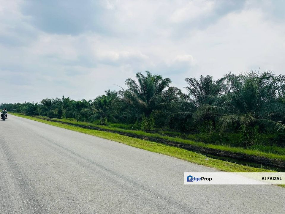 Reduced Price Tanah Kelapa Sawit Exit Highway SKVE, Selangor, Kuala Langat