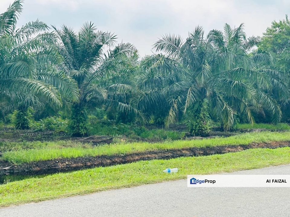 Reduced Price Tanah Kelapa Sawit Exit Highway SKVE, Selangor, Kuala Langat