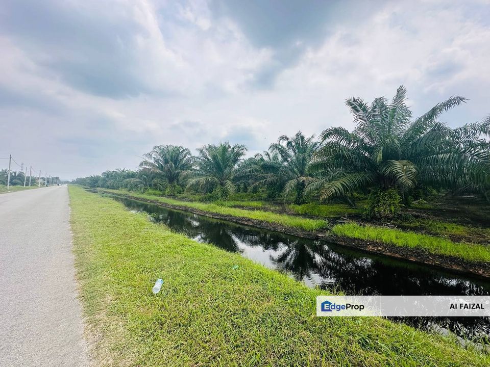 Reduced Price Tanah Kelapa Sawit Exit Highway SKVE, Selangor, Kuala Langat