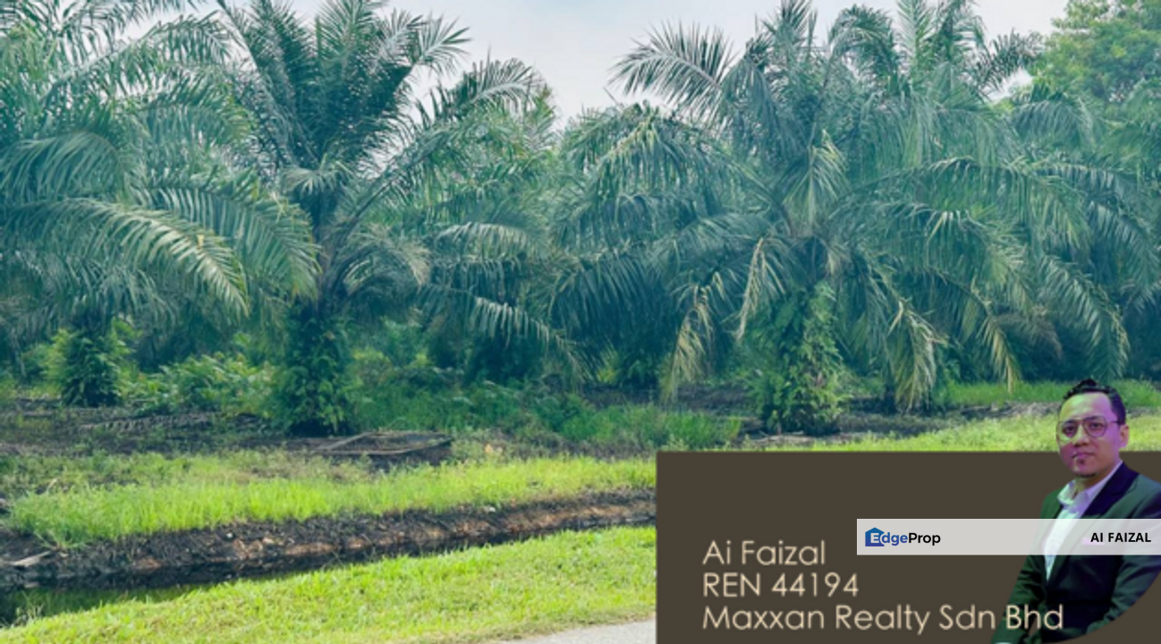 Reduced Price Tanah Kelapa Sawit Exit Highway SKVE, Selangor, Kuala Langat