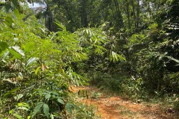 Balakong Jaya Industrial Park