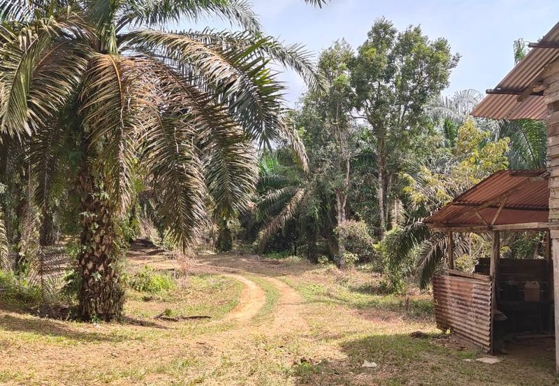 FOR SALE: 15-Acre Agriculture Land @ Jemaluang, Mersing