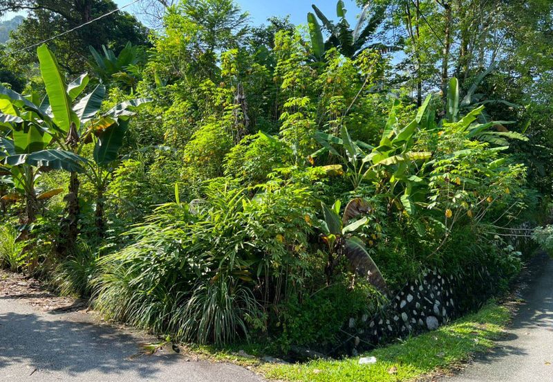 [FREEHOLD| INFRA READY| CORNER LOT] Banglo Lot Kampung Sungai Penchala KL