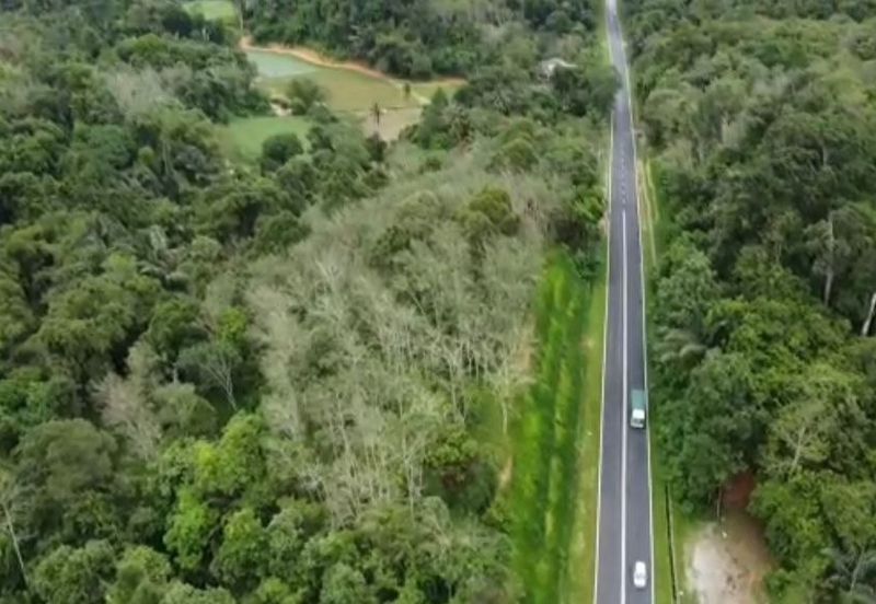 [TEPI JALAN UTAMA| KEBUN BERSIH| INFRA READY] Tanah Pertanian 2 Ekar Johol Kuala Pilah Negeri Sembilan