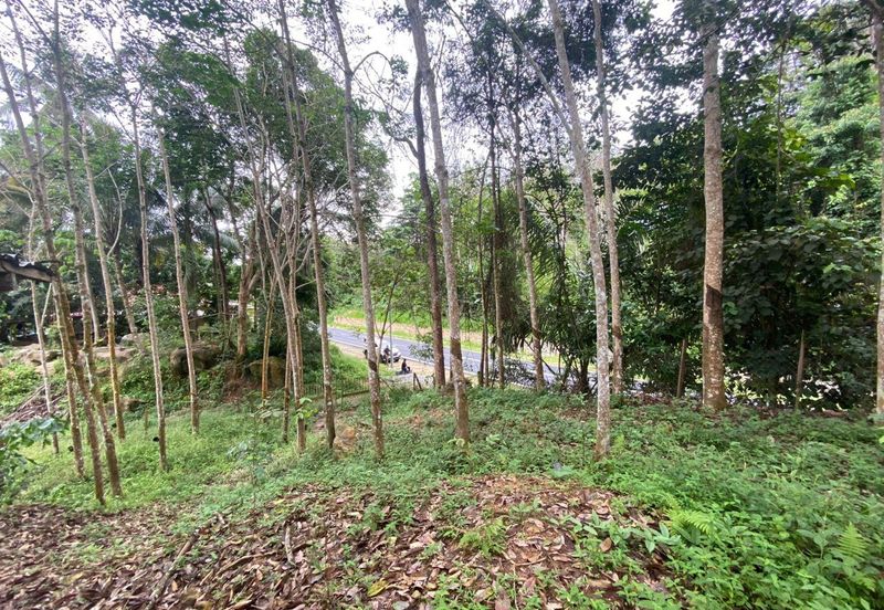 [TEPI JALAN UTAMA| KEBUN BERSIH| INFRA READY] Tanah Pertanian 2 Ekar Johol Kuala Pilah Negeri Sembilan