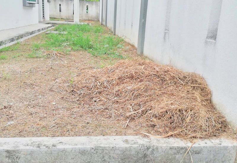 Taman Jenderam Murni *