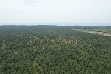 MIX DEVELOPMENT 471 Acres Land @ Sepang City