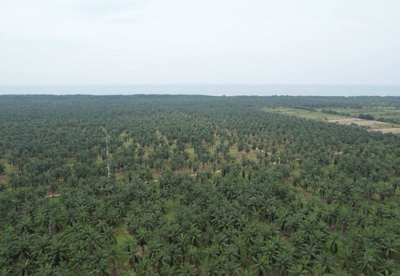 MIX DEVELOPMEN 1000 Acres Land @ Tanjong Sepat Sepang 