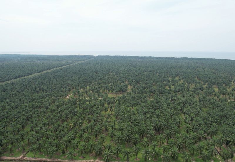 MIX DEVELOPMENT 2,373 Acres Land @ Tanjong Sepat Sepang