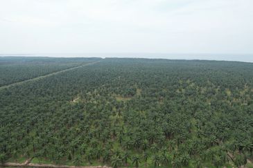 MIX DEVELOPMENT 2,373 Acres Land @ Tanjong Sepat Sepang