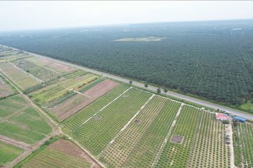 MIX DEVELOPMENT 2,373 Acres Land @ Tanjong Sepat Sepang