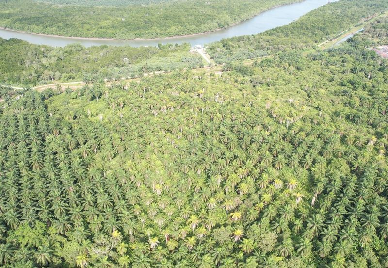 MIX DEVELOPMENT 2,373 Acres Land @ Tanjong Sepat Sepang