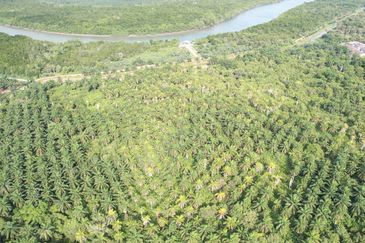 MIX DEVELOPMENT 2,373 Acres Land @ Tanjong Sepat Sepang