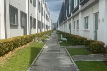 Ebonylane @ Eco Forest