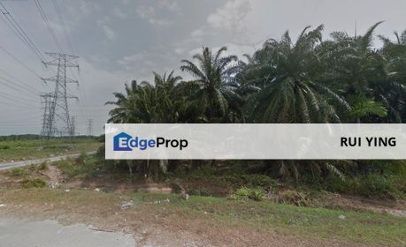 Olak Lempit Banting Freehold Agriculture Land For Sale:, Selangor, Banting