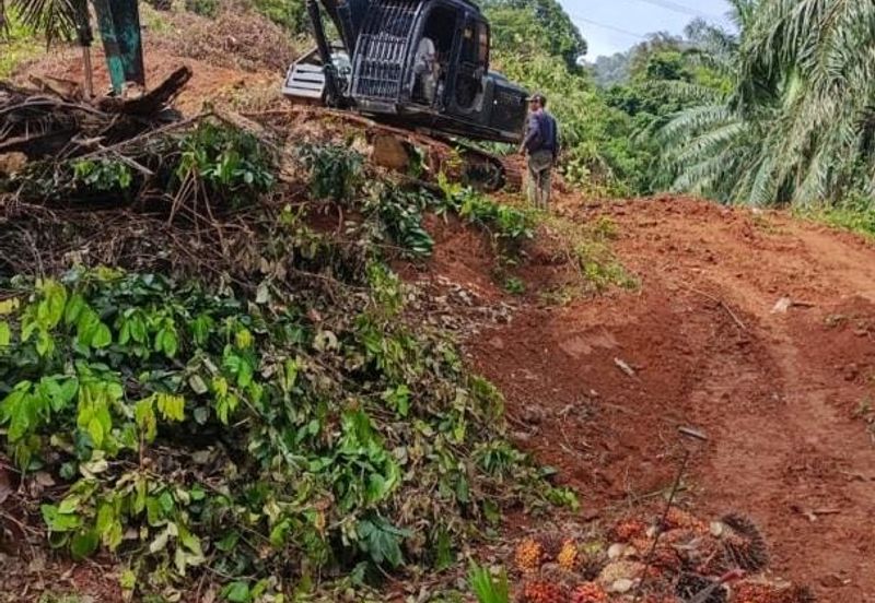 Kebun Bahru Jementah Oil Palm Land 