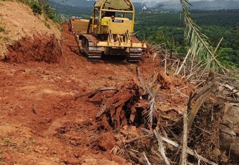 Kebun Bahru Jementah Oil Palm Land 