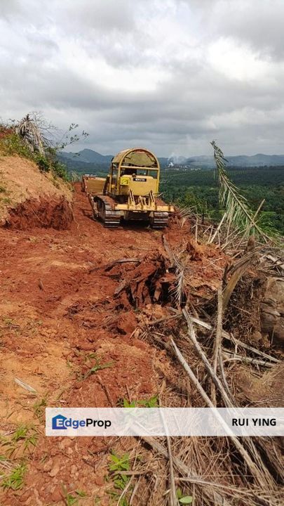 Kebun Bahru Jementah Oil Palm Land , Johor, Segamat