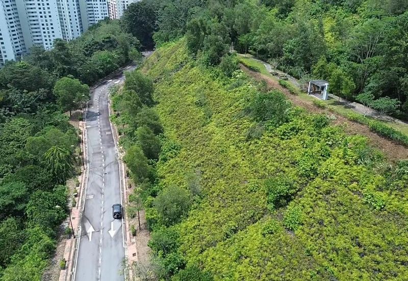 Santuari Park Pantai *