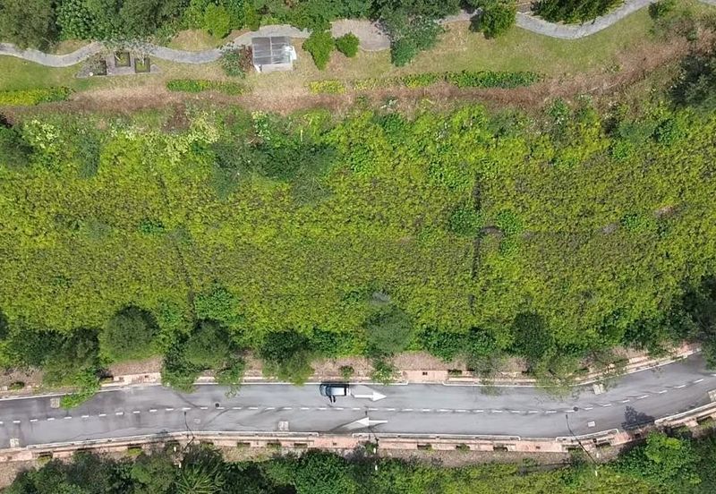 Santuari Park Pantai *