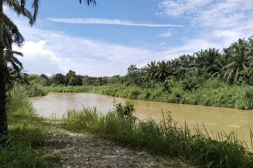 Sungai Siput