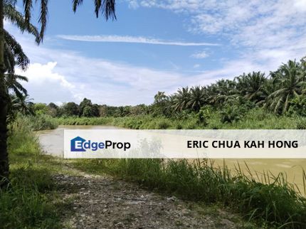 8.67 acres first lot Palm oil Land  , Perak, Kuala Kangsar