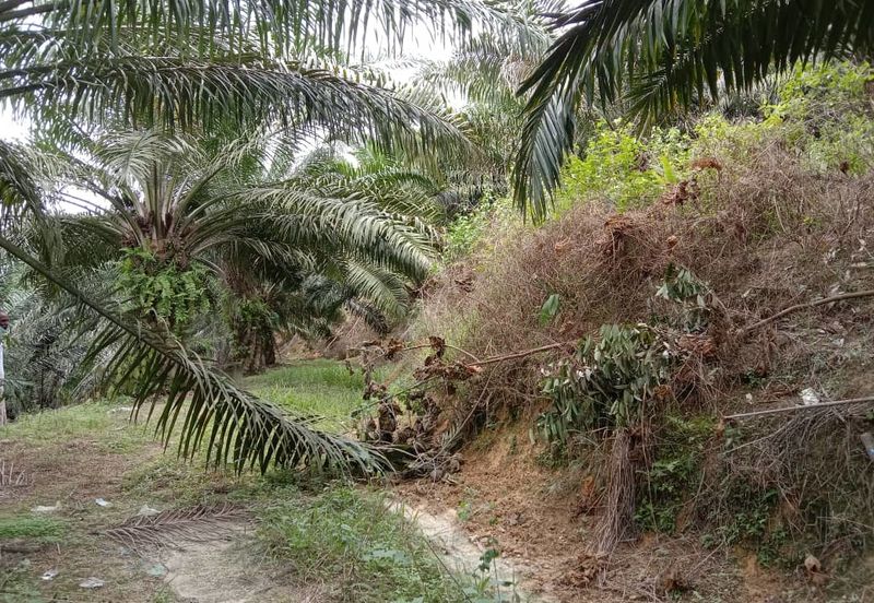 Sungai Siput
