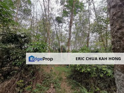 3.88 acres rubber estate at Felda gunung Besout, Slim River Perak, Perak, Slim River