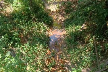 20.5 acres Palm oil land at Sungkai, Perak