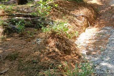 20.5 acres Palm oil land at Sungkai, Perak