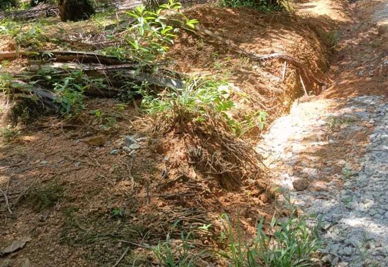 20.5 acres Palm oil land at Sungkai, Perak