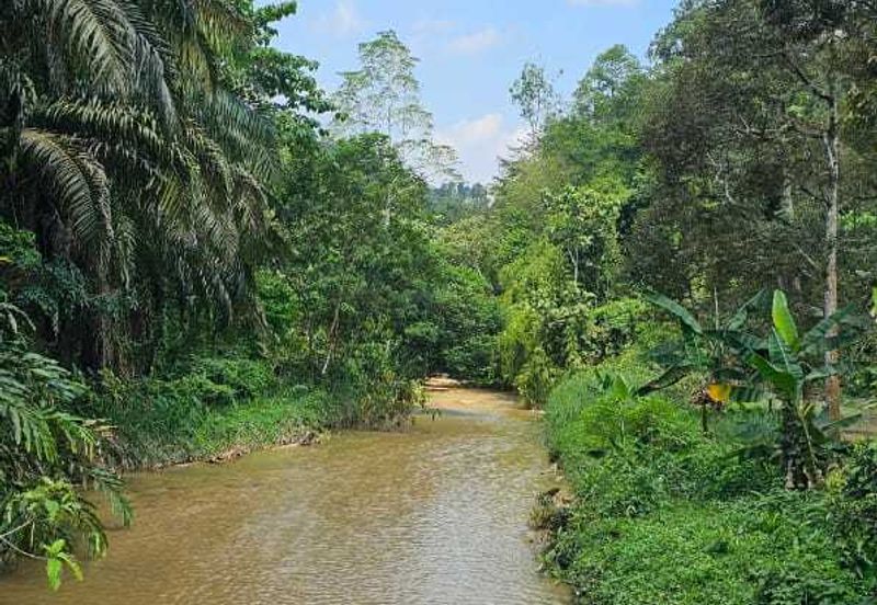 2.046 acres Durian Orchard at Simpang Pulai, Perak