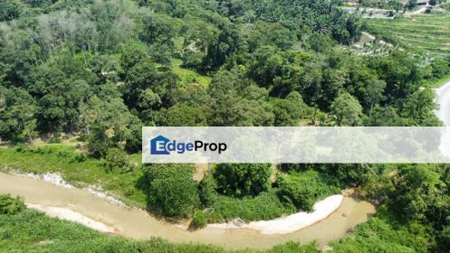 2.046 acres Durian Orchard at Simpang Pulai, Perak, Perak, Ipoh